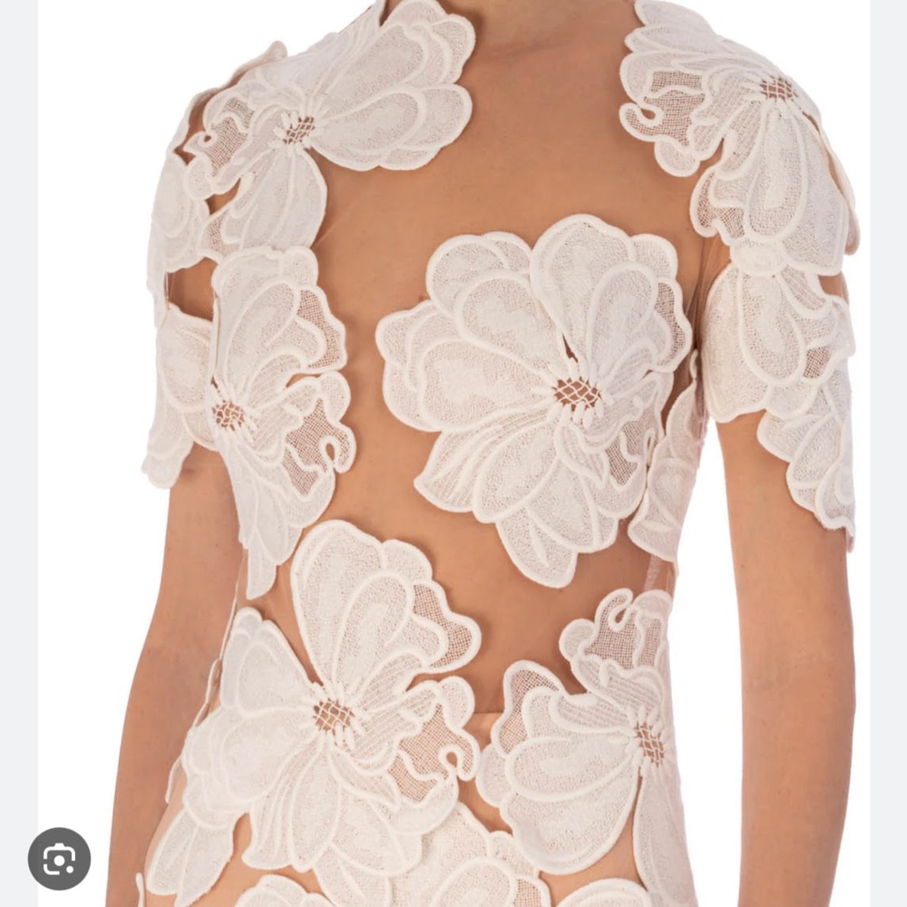 Floral Appliqué Sheer Dress Top - Silvia Tcherassi Hada Dress WORN ONCE